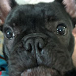 Meet your Posher, Billy